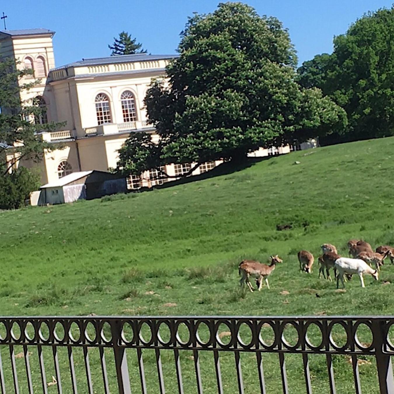 Ferienwohnung "Am Fechtertor- Eingang Zum Schlosspark" Putbus Exteriér fotografie
